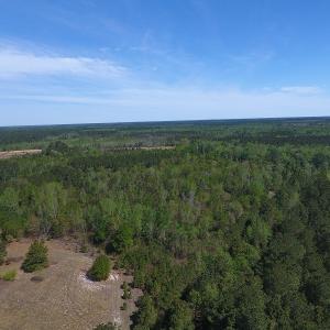 Photo #16 of NC 210 Hwy W, Garland, NC 166.0 acres