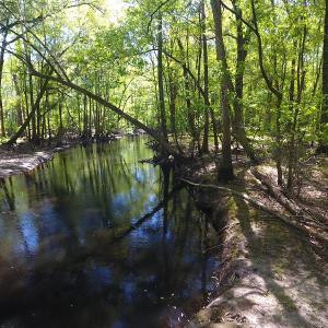 Photo #20 of NC 210 Hwy W, Garland, NC 166.0 acres