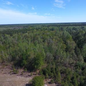 Photo #3 of NC 210 Hwy W, Garland, NC 166.0 acres