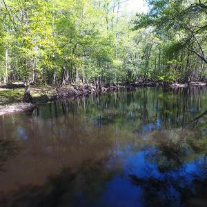 Photo #5 of NC 210 Hwy W, Garland, NC 166.0 acres