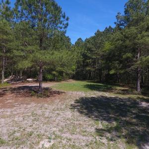 Photo #6 of NC 210 Hwy W, Garland, NC 166.0 acres