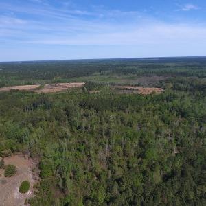 Photo #7 of NC 210 Hwy W, Garland, NC 166.0 acres