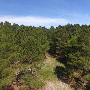 Photo #8 of NC 210 Hwy W, Garland, NC 166.0 acres