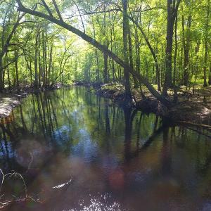 Photo #9 of NC 210 Hwy W, Garland, NC 166.0 acres