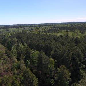 Photo #10 of NC 210 Hwy W, Garland, NC 166.0 acres