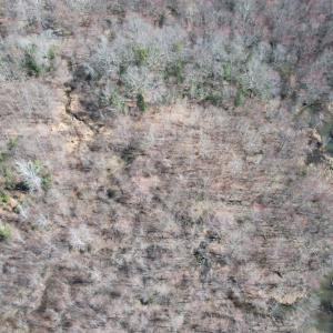 Photo #10 of SOLD property in Off Deer Ridge Road, Spring Grove, VA 29.9 acres