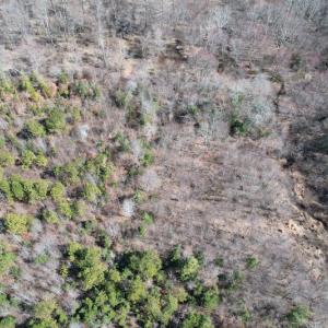 Photo #11 of SOLD property in Off Deer Ridge Road, Spring Grove, VA 29.9 acres