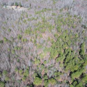 Photo #12 of SOLD property in Off Deer Ridge Road, Spring Grove, VA 29.9 acres