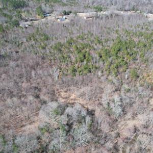 Photo #14 of SOLD property in Off Deer Ridge Road, Spring Grove, VA 29.9 acres