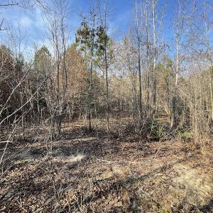 Photo #16 of SOLD property in Off Deer Ridge Road, Spring Grove, VA 29.9 acres