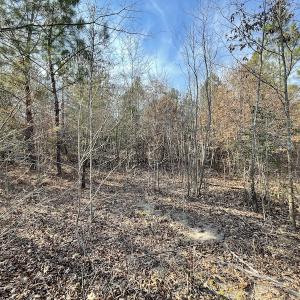 Photo #17 of SOLD property in Off Deer Ridge Road, Spring Grove, VA 29.9 acres