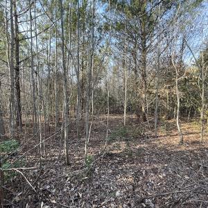 Photo #18 of SOLD property in Off Deer Ridge Road, Spring Grove, VA 29.9 acres