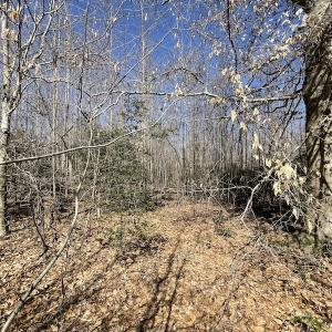 Photo #20 of SOLD property in Off Deer Ridge Road, Spring Grove, VA 29.9 acres