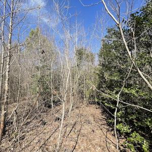 Photo #23 of SOLD property in Off Deer Ridge Road, Spring Grove, VA 29.9 acres