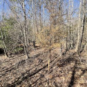 Photo #24 of SOLD property in Off Deer Ridge Road, Spring Grove, VA 29.9 acres