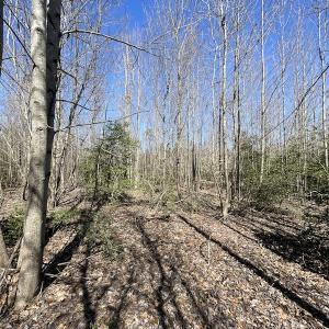 Photo #29 of SOLD property in Off Deer Ridge Road, Spring Grove, VA 29.9 acres