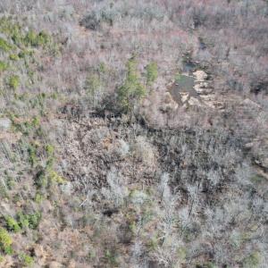 Photo #9 of SOLD property in Off Deer Ridge Road, Spring Grove, VA 29.9 acres