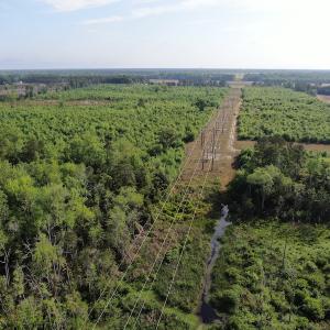 Photo #4 of 327 McGregor Road, McColl, SC 75.0 acres