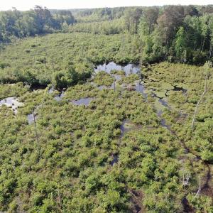 Photo #5 of 327 McGregor Road, McColl, SC 75.0 acres