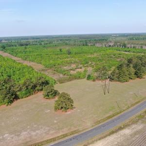 Photo #3 of 327 McGregor Road, McColl, SC 75.0 acres