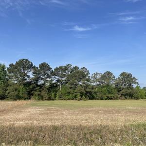 Photo #11 of 327 McGregor Road, McColl, SC 75.0 acres