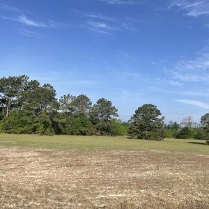 Photo #13 of 327 McGregor Road, McColl, SC 75.0 acres