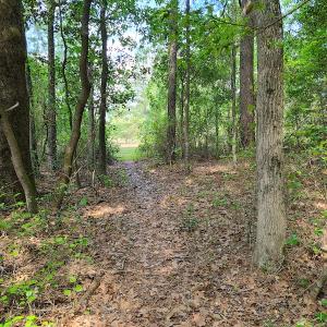 Photo #12 of SOLD property in 4354 Harrells Hwy, Garland, NC 17.0 acres
