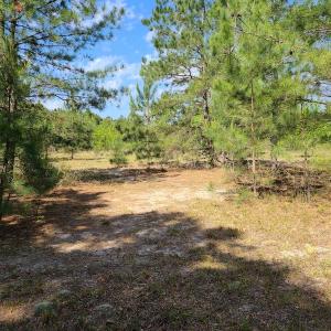 Photo #14 of SOLD property in 4354 Harrells Hwy, Garland, NC 17.0 acres
