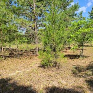 Photo #15 of SOLD property in 4354 Harrells Hwy, Garland, NC 17.0 acres