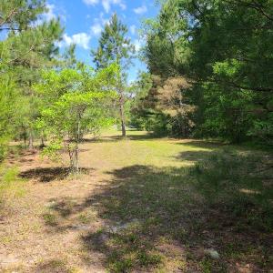 Photo #16 of SOLD property in 4354 Harrells Hwy, Garland, NC 17.0 acres