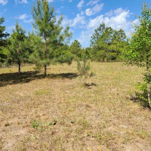 Photo #18 of SOLD property in 4354 Harrells Hwy, Garland, NC 17.0 acres