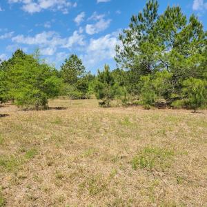 Photo #19 of SOLD property in 4354 Harrells Hwy, Garland, NC 17.0 acres