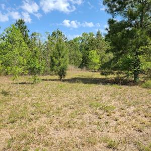 Photo #20 of SOLD property in 4354 Harrells Hwy, Garland, NC 17.0 acres
