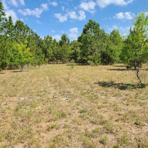 Photo #21 of SOLD property in 4354 Harrells Hwy, Garland, NC 17.0 acres