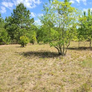 Photo #22 of SOLD property in 4354 Harrells Hwy, Garland, NC 17.0 acres