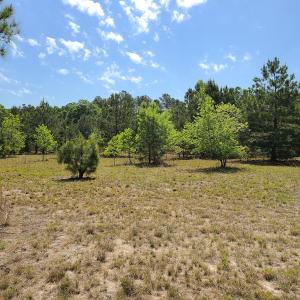Photo #23 of SOLD property in 4354 Harrells Hwy, Garland, NC 17.0 acres