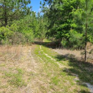 Photo #24 of SOLD property in 4354 Harrells Hwy, Garland, NC 17.0 acres