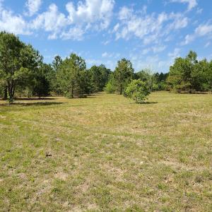 Photo #25 of SOLD property in 4354 Harrells Hwy, Garland, NC 17.0 acres