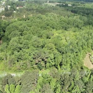 Photo #2 of SOLD property in 4354 Harrells Hwy, Garland, NC 17.0 acres