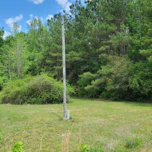 Photo #35 of SOLD property in 4354 Harrells Hwy, Garland, NC 17.0 acres