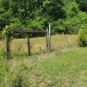 Photo #40 of SOLD property in 4354 Harrells Hwy, Garland, NC 17.0 acres