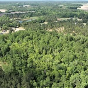 Photo #4 of SOLD property in 4354 Harrells Hwy, Garland, NC 17.0 acres
