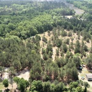 Photo #5 of SOLD property in 4354 Harrells Hwy, Garland, NC 17.0 acres