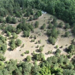 Photo #6 of SOLD property in 4354 Harrells Hwy, Garland, NC 17.0 acres