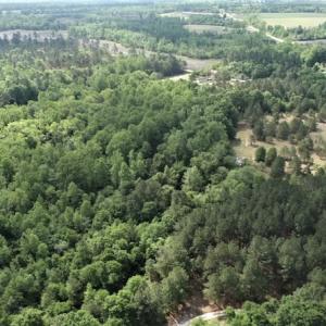 Photo #7 of SOLD property in 4354 Harrells Hwy, Garland, NC 17.0 acres