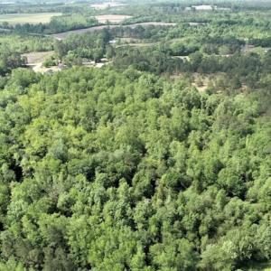 Photo #8 of SOLD property in 4354 Harrells Hwy, Garland, NC 17.0 acres