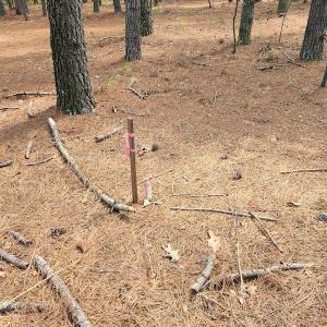 Photo #50 of SOLD property in 4354 Harrells Hwy, Garland, NC 17.0 acres