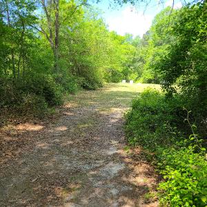 Photo #9 of SOLD property in 4354 Harrells Hwy, Garland, NC 17.0 acres