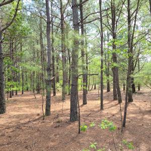 Photo #51 of SOLD property in 4354 Harrells Hwy, Garland, NC 17.0 acres