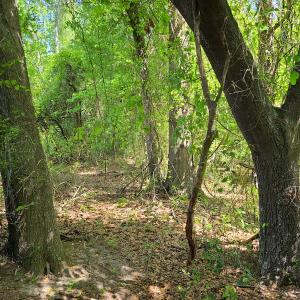 Photo #43 of SOLD property in 4354 Harrells Hwy, Garland, NC 17.0 acres